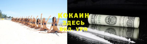 крисы Абдулино