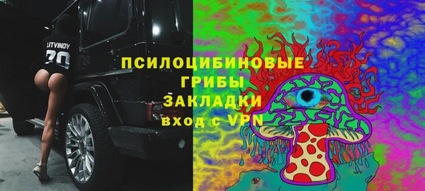 крисы Абдулино